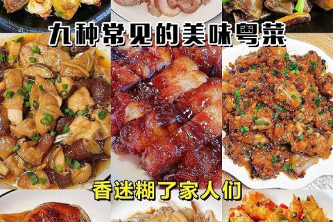 粤菜做法大全